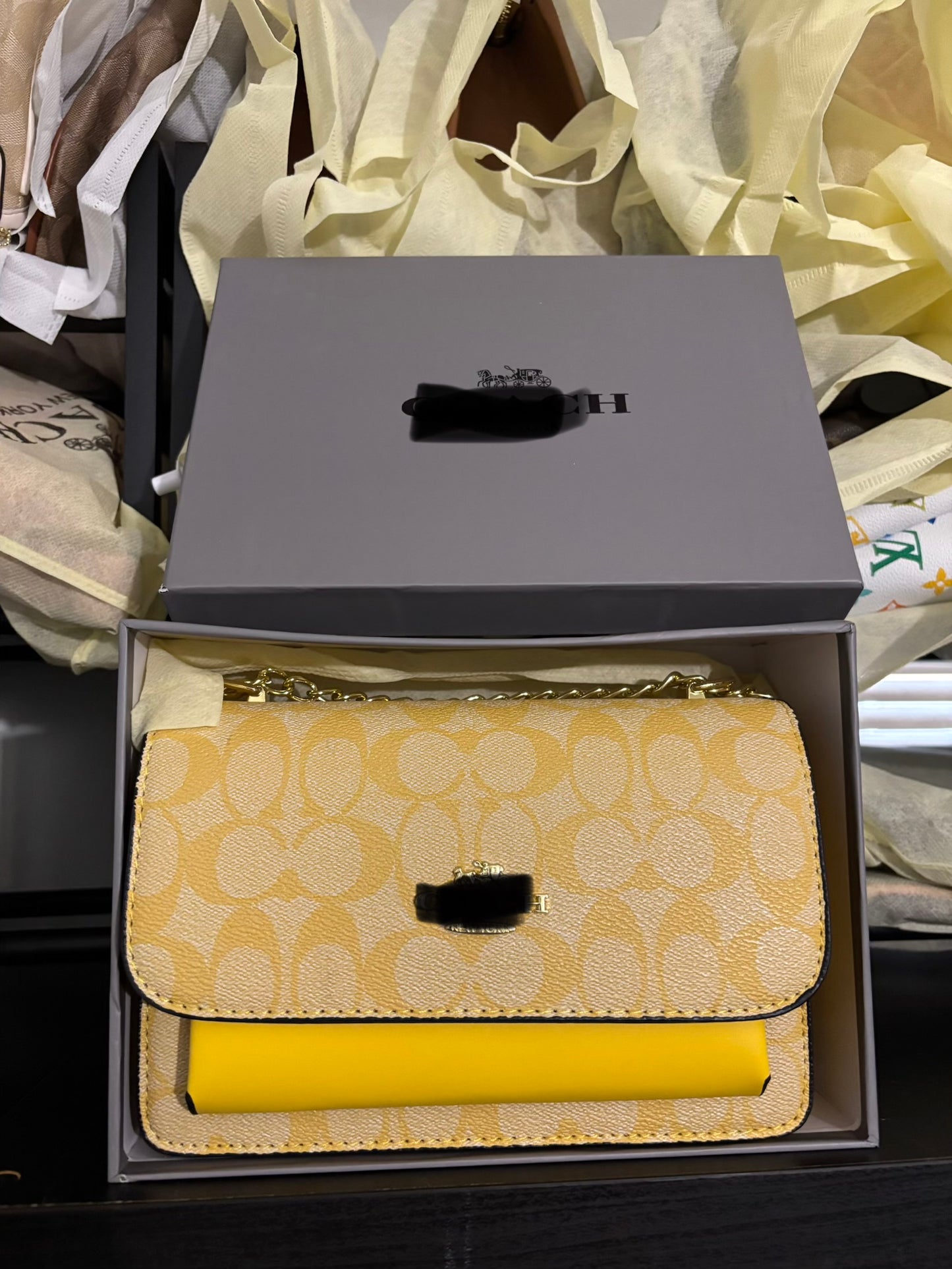 Bag for women
